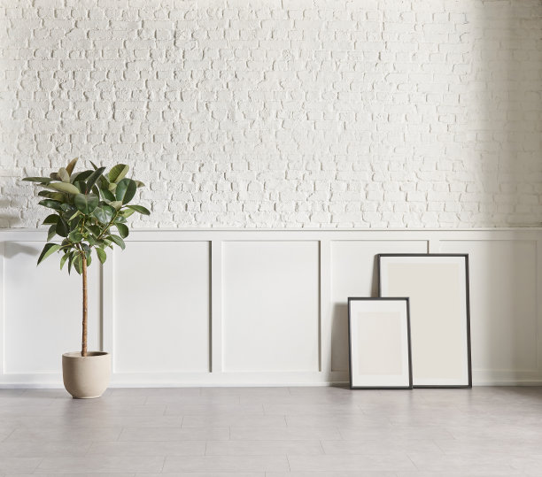 白色经典和砖墙背景概念，室内房间，绿色植物花瓶，黑色椅子，框架，家用电器，大理石地板。图片下载