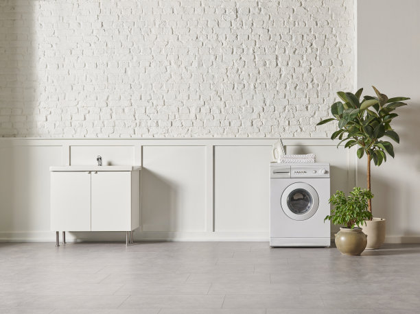 浴室洗衣机，白色砖墙背景，植物花瓶，橱柜和大理石地板，折叠屏风。图片下载