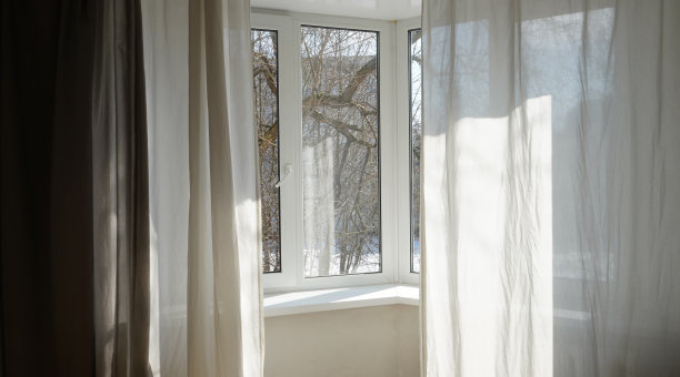 窗户可以俯瞰室内的一棵树。图片下载