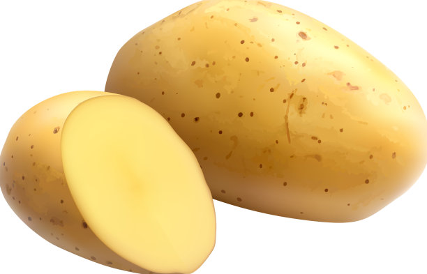 土豆的现实图片下载