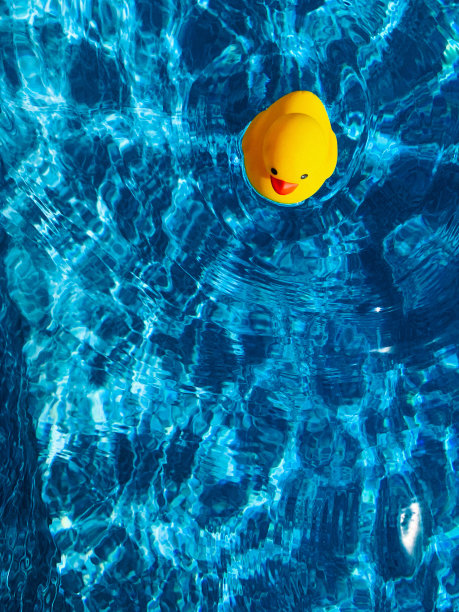 水里的玩具鸭图片下载