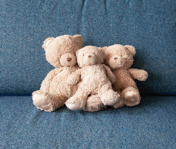 沙发上的泰迪熊图片下载