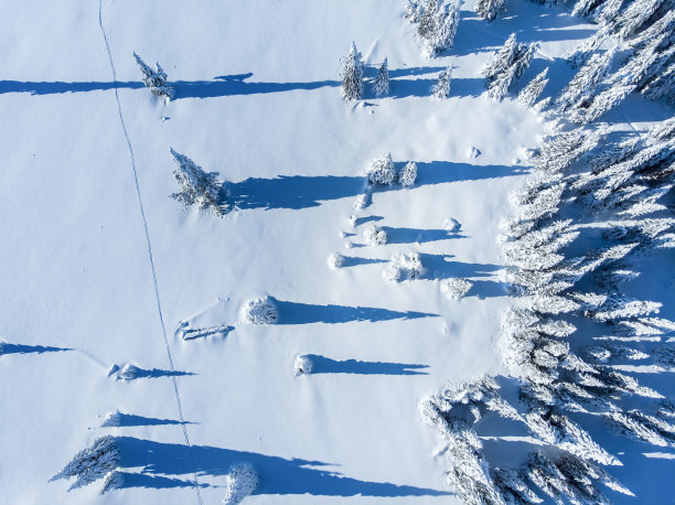 美丽的冬季景观，白雪覆盖的云杉树。冬日清晨壮丽的景色图片下载