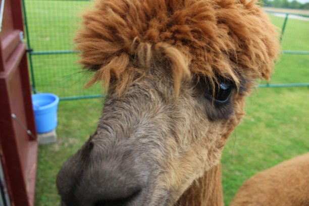 眼睛看到你图片下载