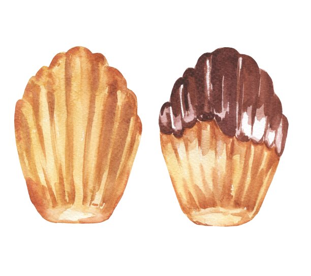 玛德琳饼干水彩插图。法国沙漠，美食艺术。图片下载