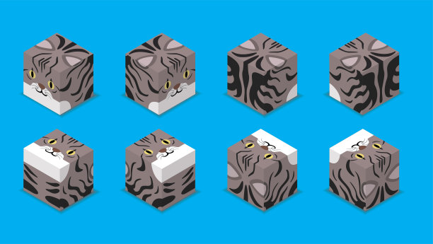 动物骰子3D字符动物美国短毛猫卡通矢量图片下载