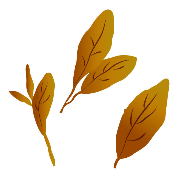 简单棕叶插画套装(红茶、乌龙茶、红茶等)图片下载