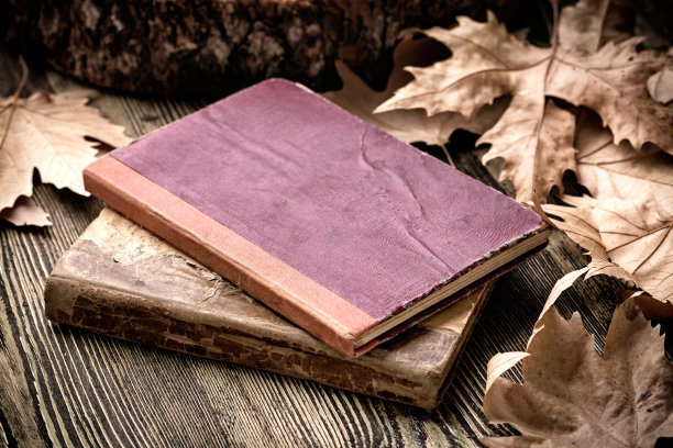 古董书图片下载