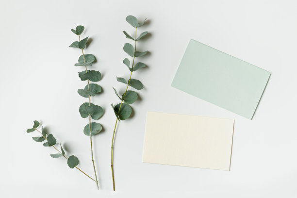 空白绿色卡片上的文字桌上，欢迎或邀请纸纹理空卡片与桉树树枝。平铺于绿色，复制空间，极简的生活方式自然有机的概念图片下载