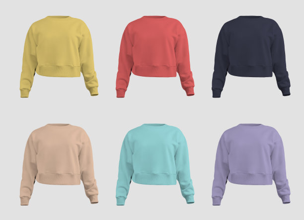 帆布贝拉3D渲染女性作物运动衫模板，衬衫，孤立的背景，前面。长袖套装设计。图片下载