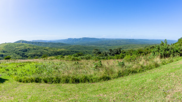 野生动物山山谷景观图片下载