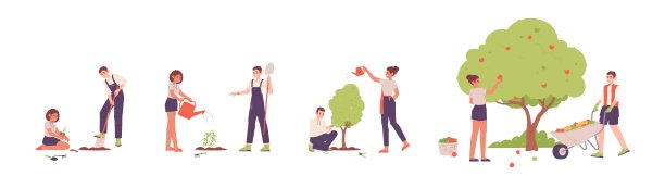 种植合作。夫妇植物种子在地面上生长树木，重新造林过程csr志愿者团队恢复森林护理保护自然环境矢量插图图片下载