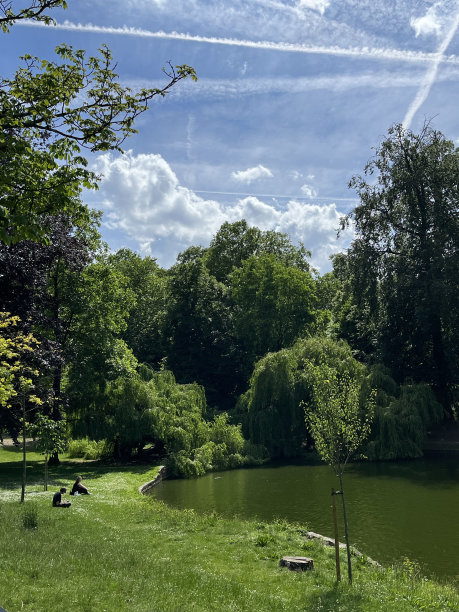 公园的一天图片下载