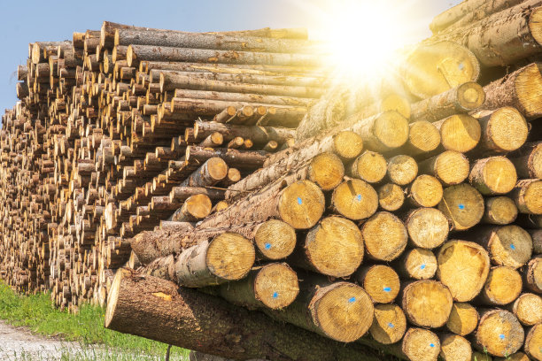 仓库里有许多树干图片下载