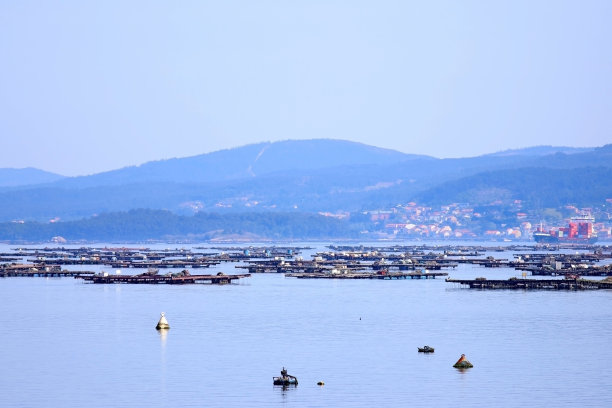 河口的海鲜筏图片下载