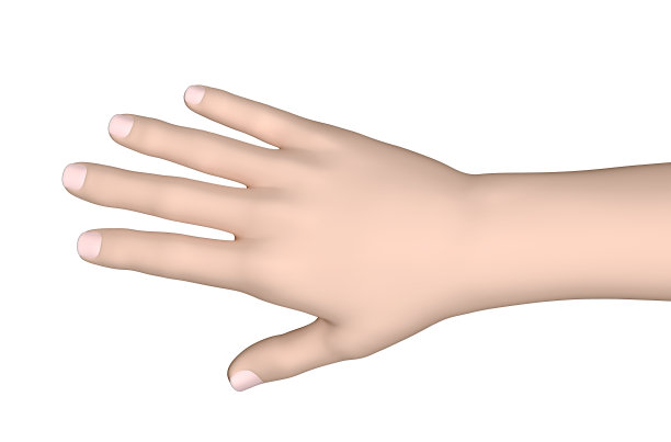 手指张开3d图片下载