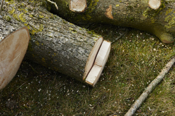 灰日志图片下载