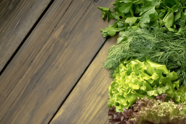 生菜叶红绿相间，欧芹和莳萝排成一排。可供食用的春季作物。杂色复制空间为文本左侧绿色。图片下载