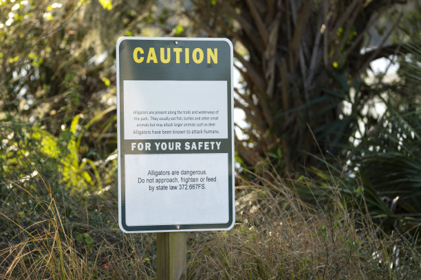 佛罗里达州立公园的短吻鳄警告标志，提醒人们在步道行走时注意安全图片下载