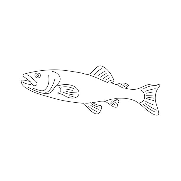 黑线鳕鱼的手绘插图。向量。图片下载