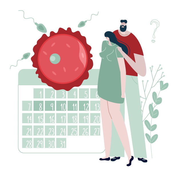 这对男女，计划怀孕。他们想要孩子，成为父母。插图日历，卵细胞和精子细胞良好的医疗诊所海报或UI UX设计应用程序。图片下载