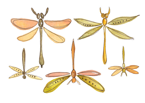 蜻蜓集橙色和绿色。图片下载