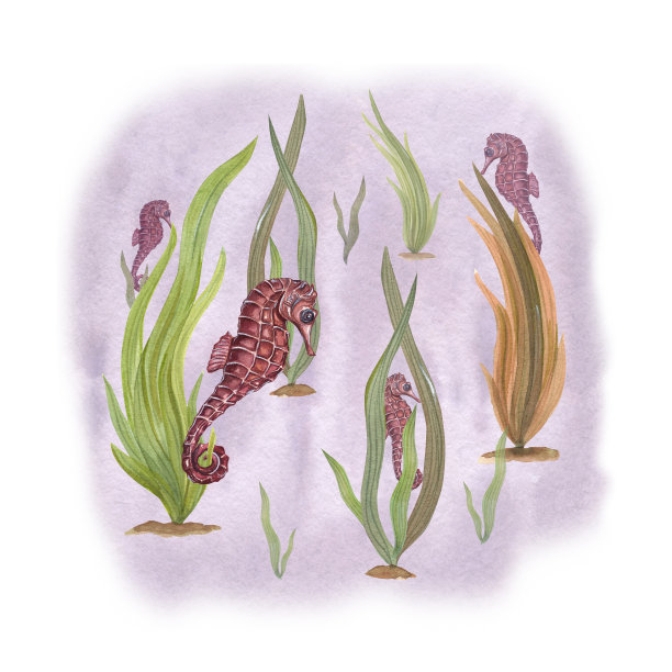 在水彩背景上分离的海藻中组成海马。插图可用于墙纸，印刷品，婴儿纺织品，剪贴簿，明信片，服装。卡通风格。图片下载