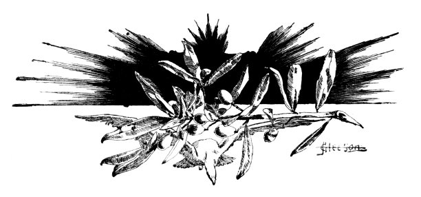 和平鸽和橄榄枝，和平的象征图片下载