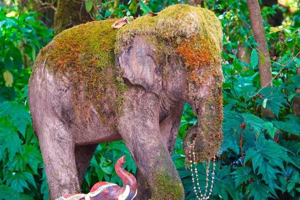 圣坛上长满苔藓的石象图片下载