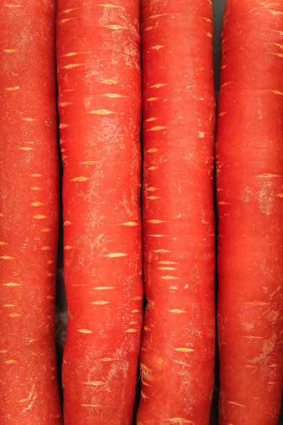 胡萝卜图片下载