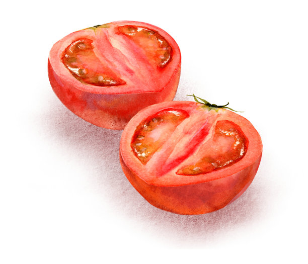 一幅番茄垂直分成两半的图像，由一幅水彩画数字生成图片下载
