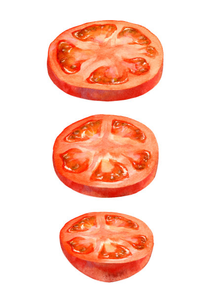 番茄片的图像，由一幅水彩画数字生成图片下载