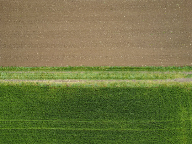 农田里的乡间小路图片下载