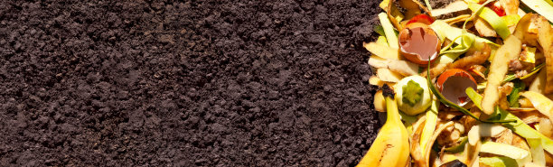堆肥和堆肥土壤。图片下载