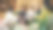 女经理与她的多种族队友主持关于可持续发展和种族的会议。一群年轻员工向初创公司CEO展示他们的项目想法。中景镜头图片下载