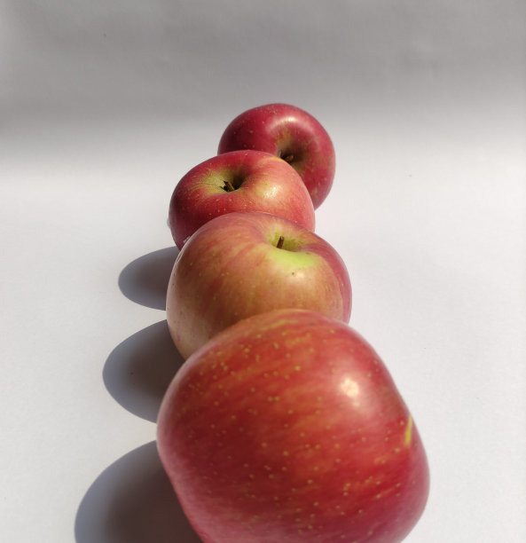 白色背景上的一些新鲜红苹果。图片下载