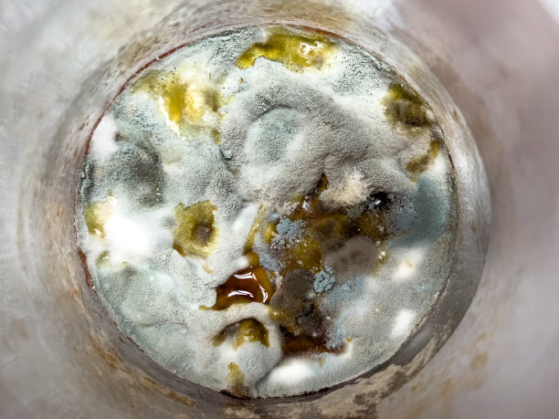 食物中的霉菌，在一个月内生长，真菌，腐烂，一罐番茄汁的内部视图，库存照片。图片下载