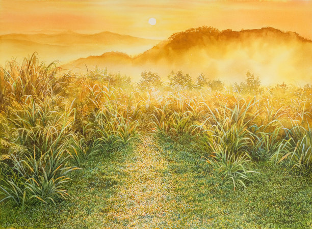 大叻森林水彩艺术绘画图片下载