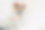 轻松聪明的杰克罗素梗狗戴着透明眼镜，用笔记本电脑工作，呆在卧室里，在家使用无线网络，看起来很聪明。家畜概念图片下载