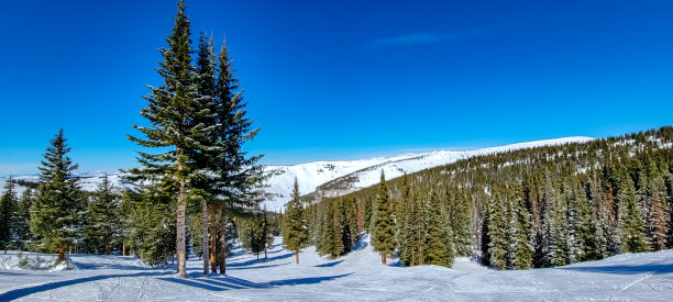 维尔的观点图片下载