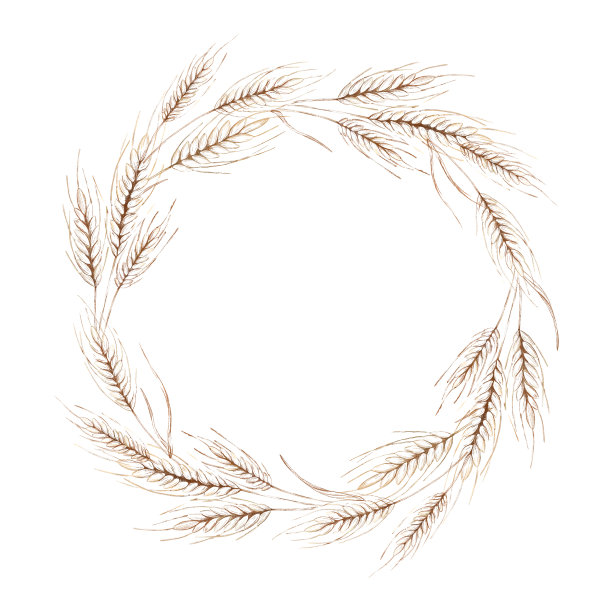 圆形小麦花圈具拷贝空间。模板出售，打印元素。图片下载