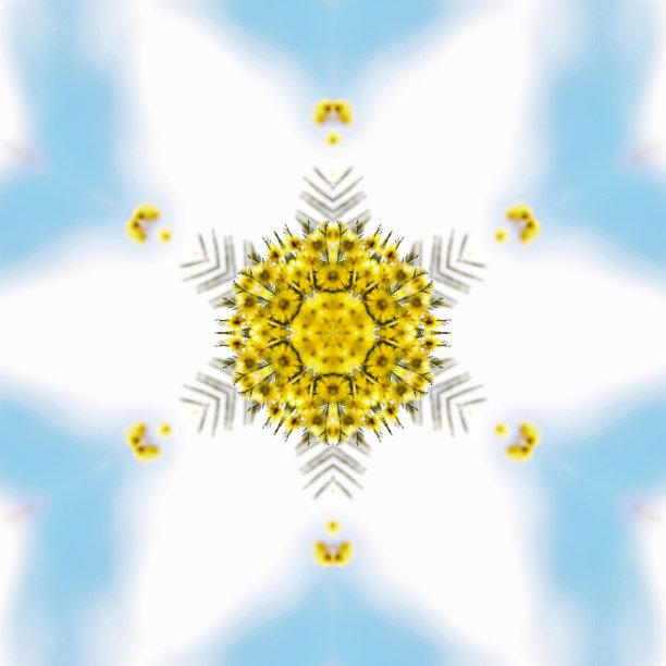 含羞草曼荼罗图片下载