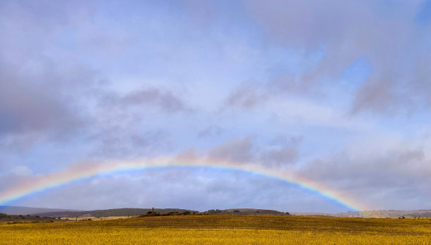 彩虹在麦田里的一个雨天和晴天的横向风景照片图片下载