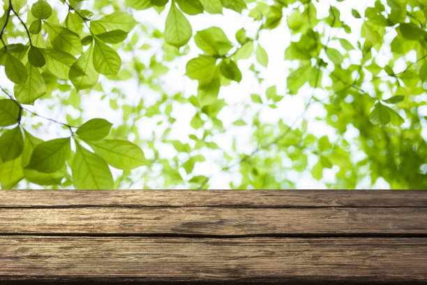 木质桌子与森林散景背景图片下载