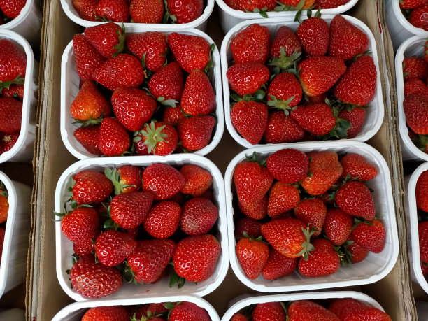 来自马雷什地区的甜草莓。盒装的草莓，质量非常好。市场摊位上一盒盒的草莓。图片下载