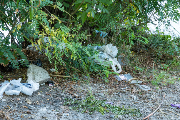 垃圾倾倒在森林里，散落在草地上。野餐后树林里的塑料垃圾。图片下载