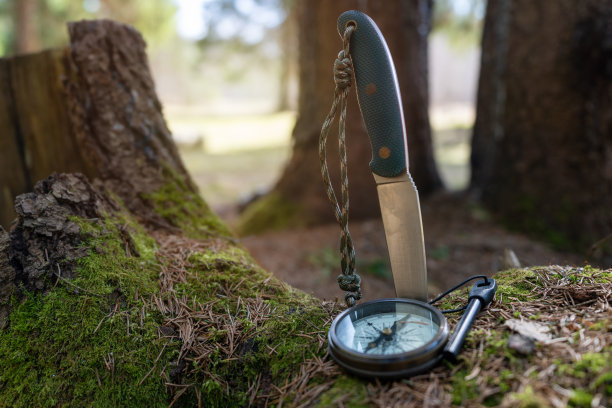 灌木丛刀，燧石，导航罗盘在长满青苔的树桩上，树桩上覆盖着松针图片下载