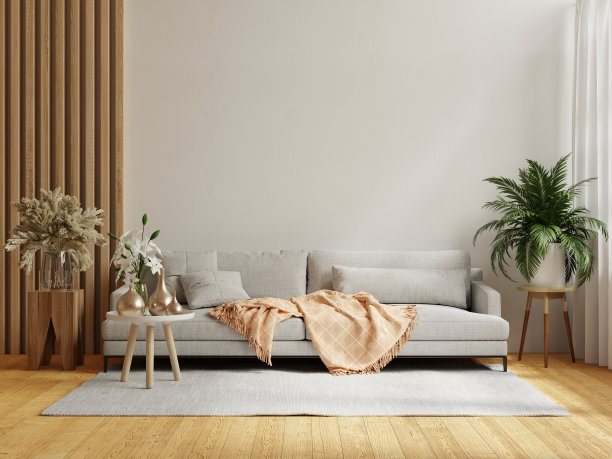 明亮舒适的现代客厅内部有沙发和白色墙壁的植物。图片下载