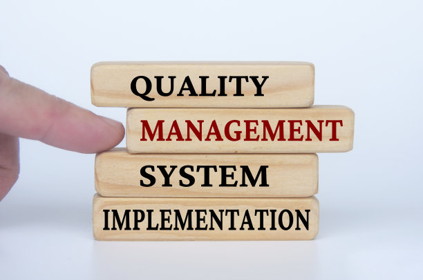 木块质量管理体系实施文本。企业文化和卓越运营理念图片下载