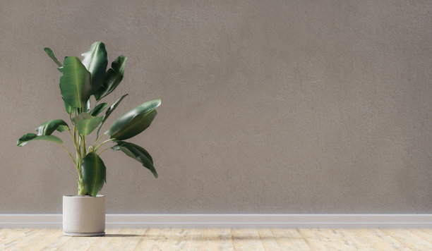 一个普通房间的模型，粗糙的混凝土墙，木地板和植物，3d渲染。模板和背景的客厅或大厅与复制空间图片下载